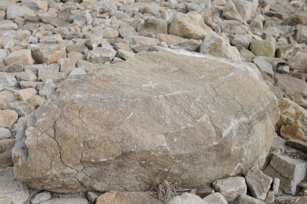 夏の乾いた大きな石