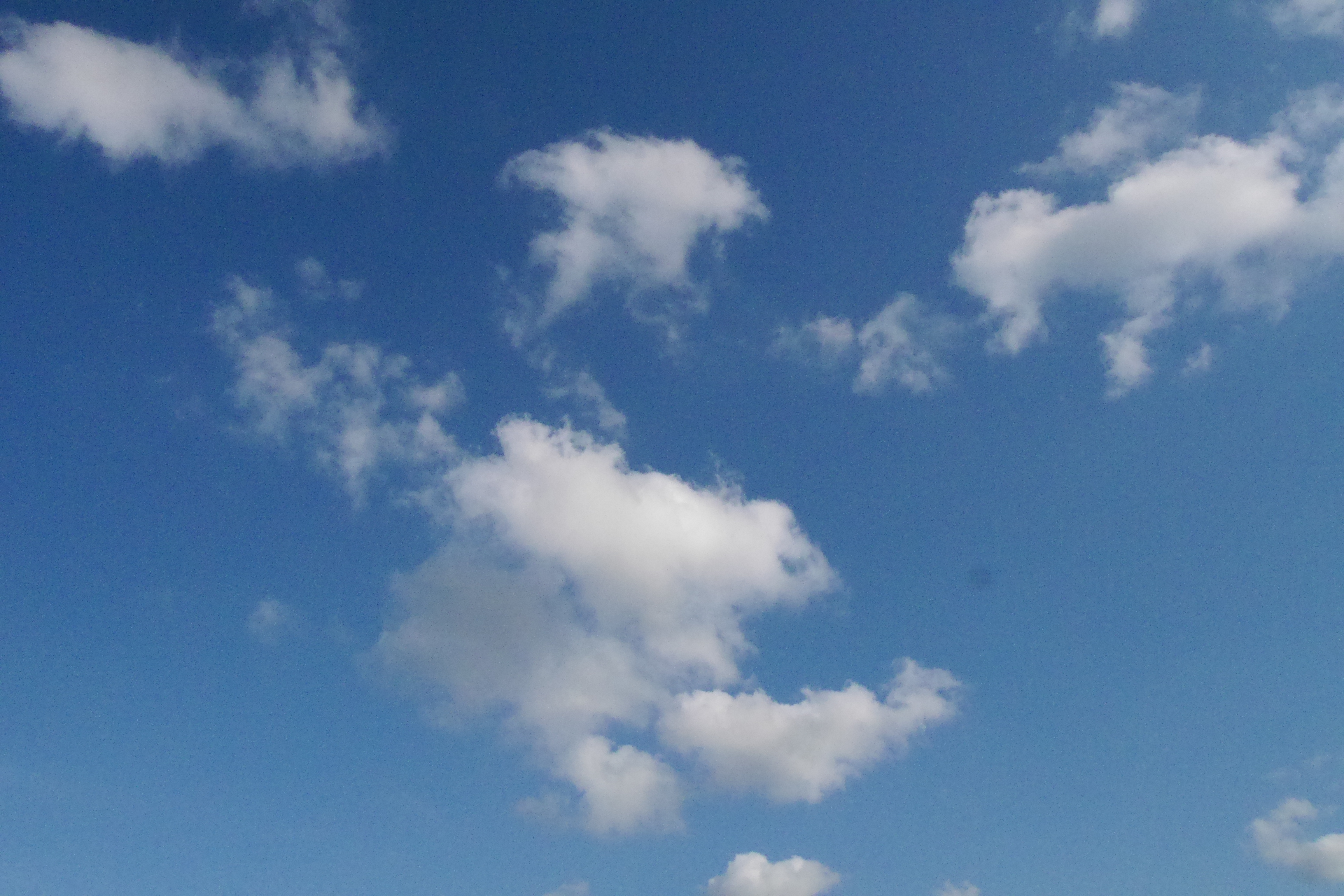 夏っぽい真っ青な空と白い雲